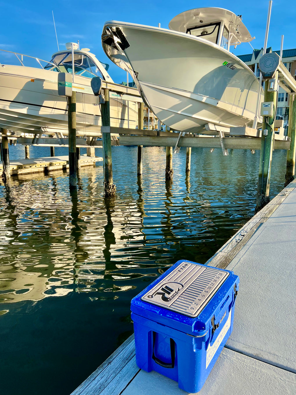 Reef Donkey | 60 Qt Ice Vault Roto Molded Blue Cooler WITH Marine Grade RD Topper